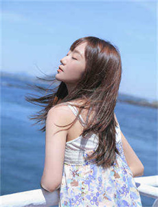 山海情