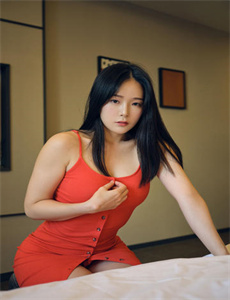 变脸(1997)